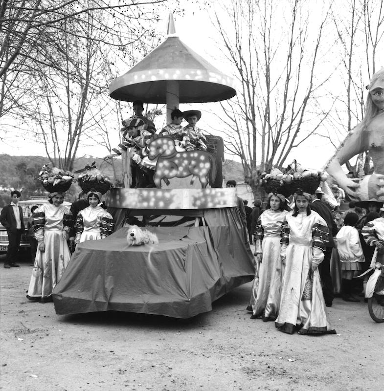 >Carnaval de Corte (photo 13)