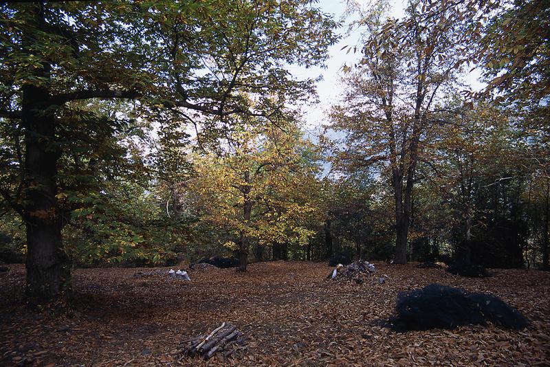 >Coutelier — Jean-Dominique Susini (photo 10)