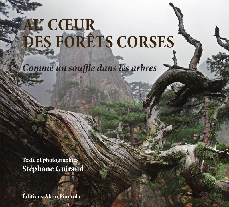 >Au coeur des forêts corses