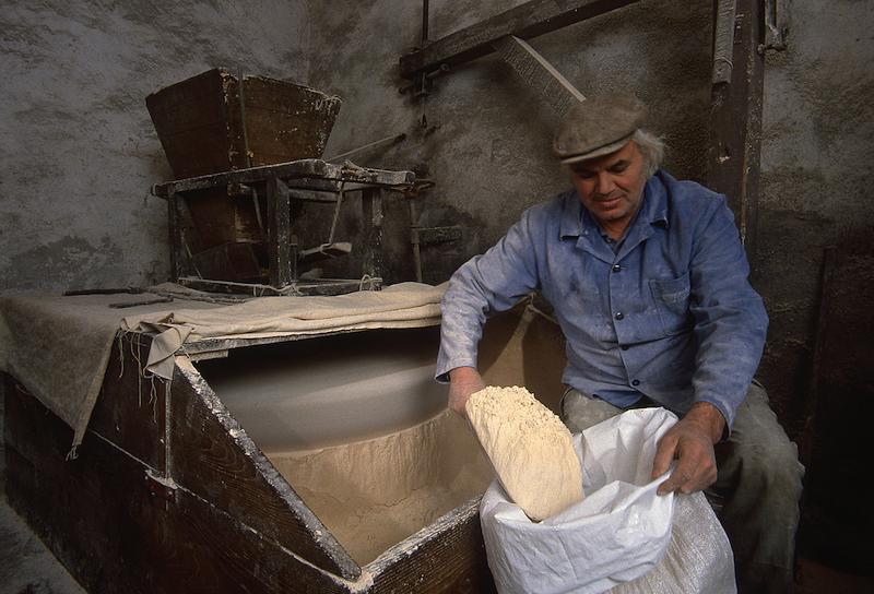 >Moulin de Bocognano — farine de châtaigne (photo 15)