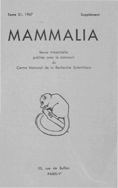 >Mammalia