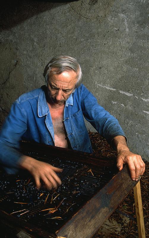 >Moulin à huile d’olive traditionnel (photo 11)