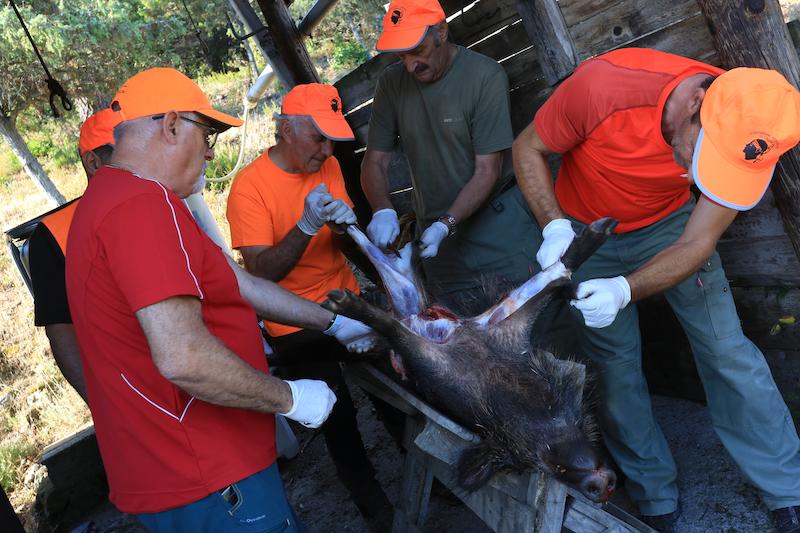 >La passion de la chasse (photo 16)