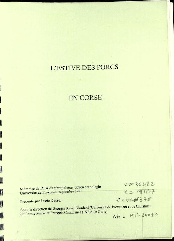 >L' estive des porcs en Corse