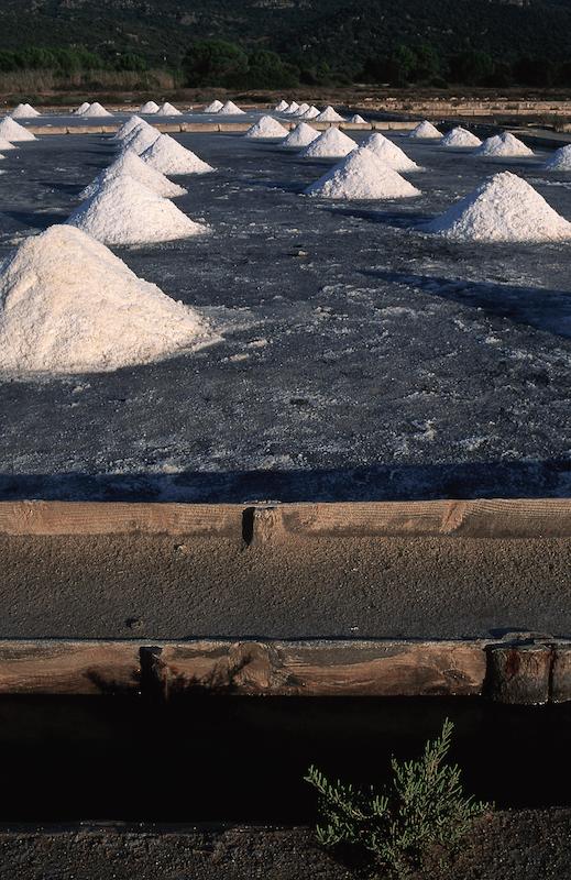 >Marais salants (photo 12)