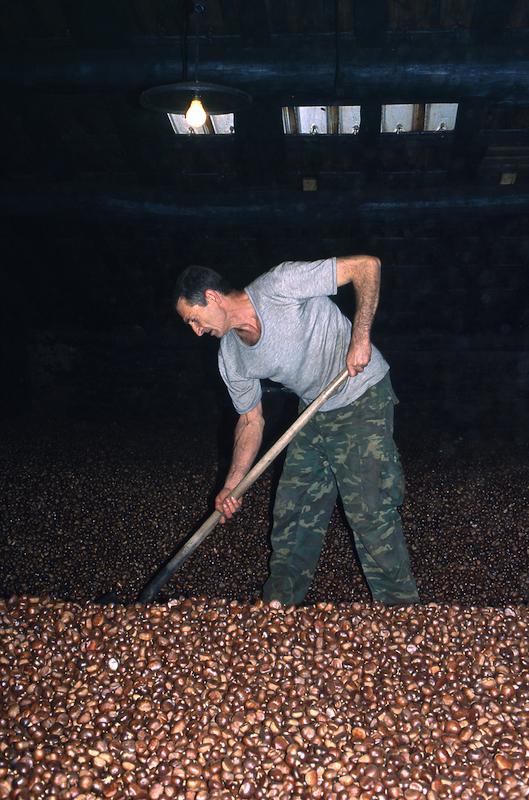 >Châtaignes : cueillette, séchage, moulin — Xavier Colombani (photo 45)