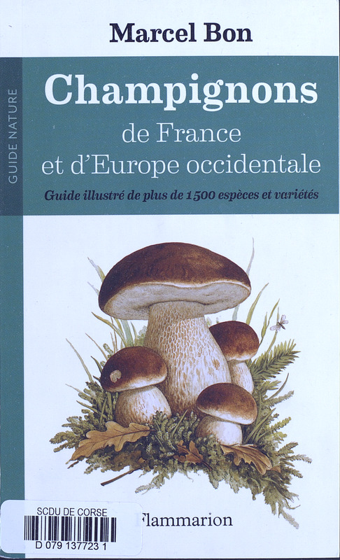 >Champignons de France et d'Europe occidentale