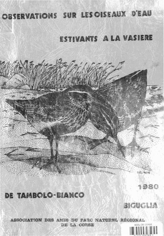 Observation sur les oiseaux d'eau estivants à la vasière de Tombolo Bianco, Biguglia, printemps 1980