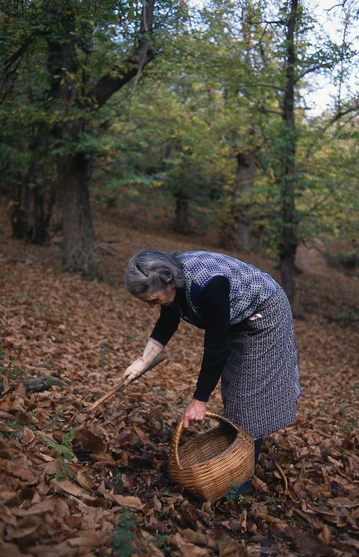 >Coutelier — Jean-Dominique Susini (photo 20)