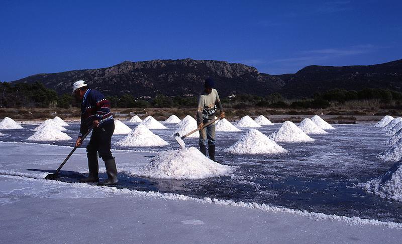 >Marais salants (photo 22)