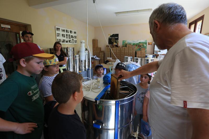 >Les enfants à la découverte du miel (photo 10)