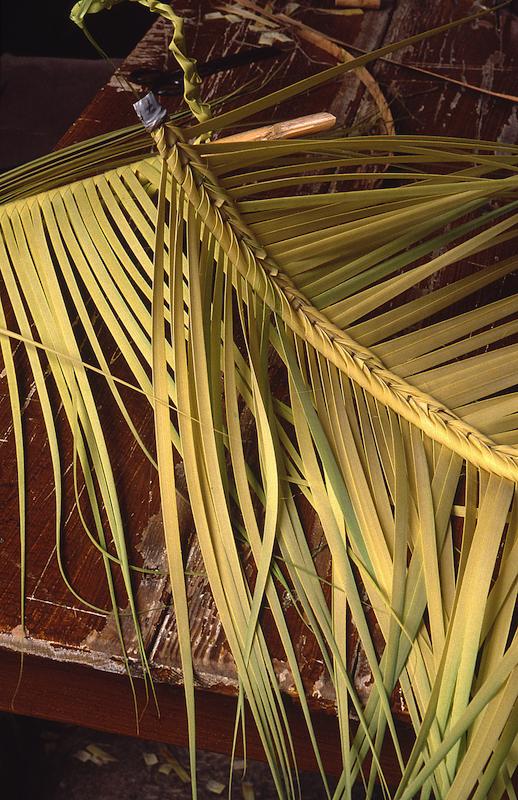 >Les Palmes - E Crucette (photo 19)