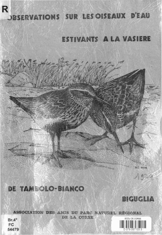 >Observations sur les oiseaux d’eau estivants à la vasière de Tombolo Bianco, Biguglia, 1979