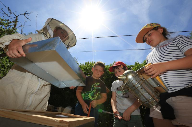 >Les enfants à la découverte du miel (photo 7)