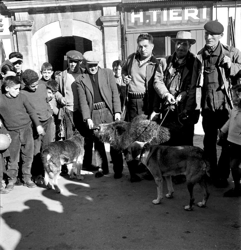 >La passion de la chasse (photo 13)
