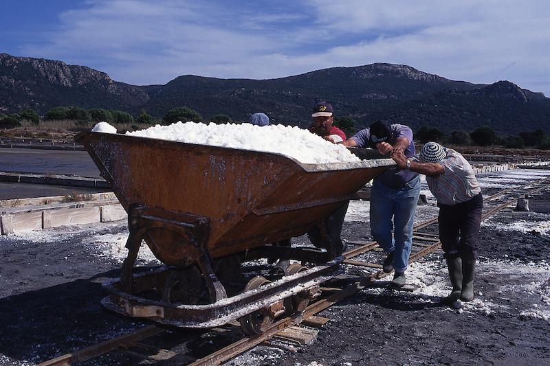 >Marais salants (photo 27)