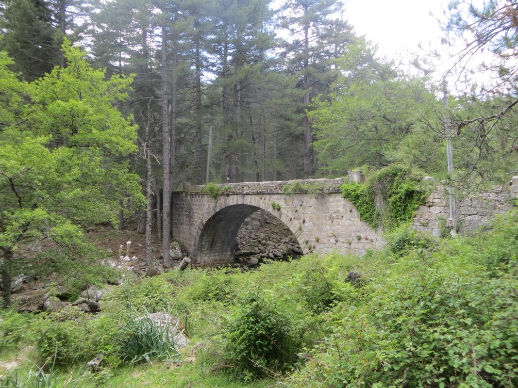 Pont de San Rimerio (Tillerga)
