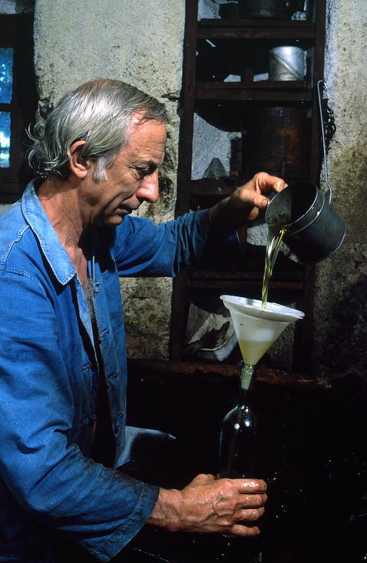 >Moulin à huile d’olive traditionnel (photo 41)