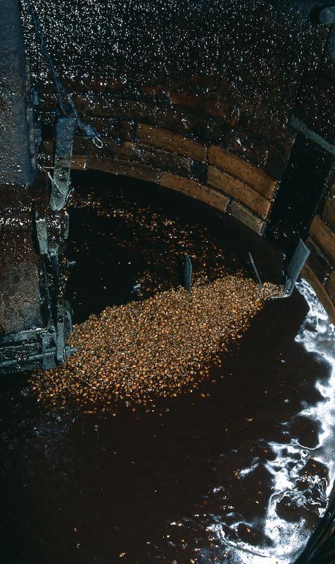 >Moulin à huile d’olive traditionnel (photo 38)