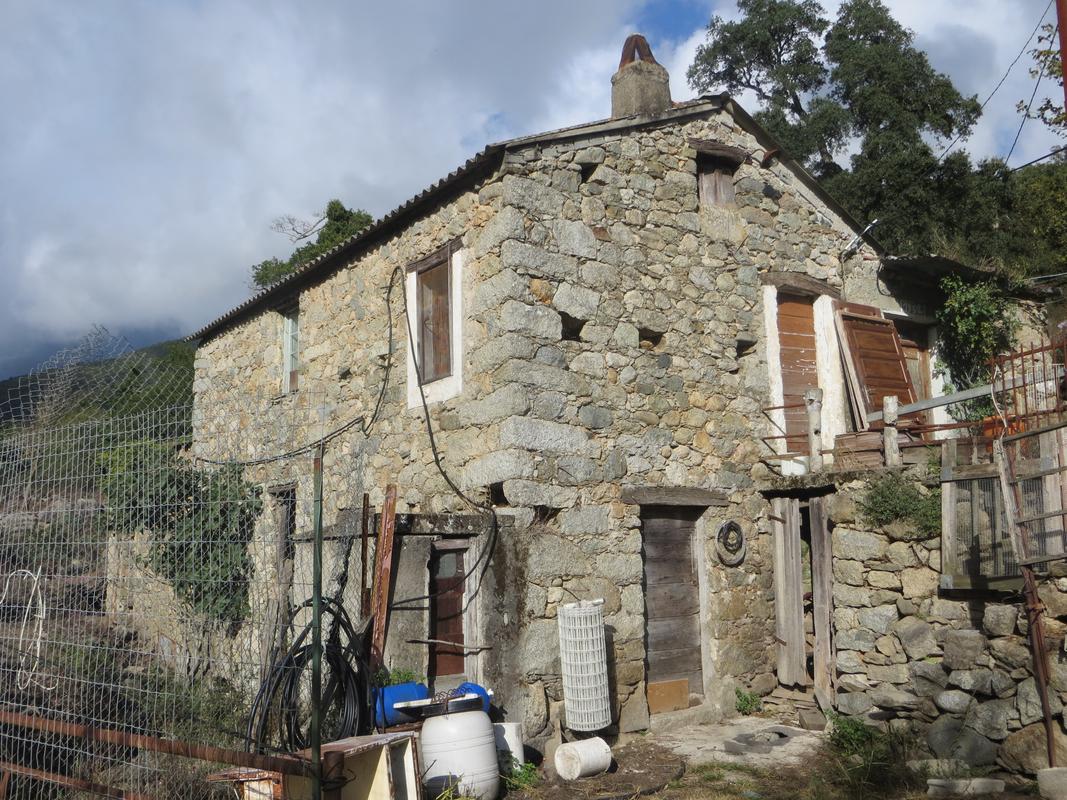 Moulin à farine de la famille Dominici (Branca)