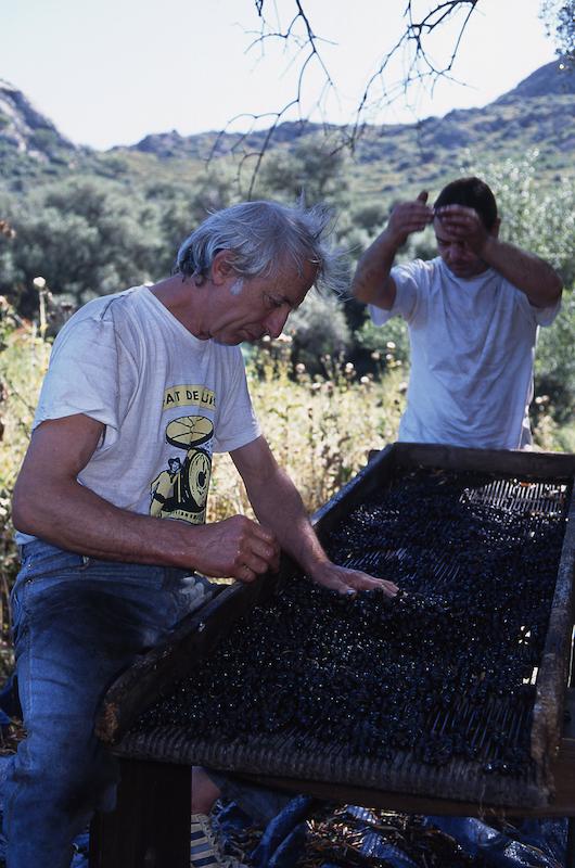 >Moulin à huile d’olive traditionnel (photo 2)