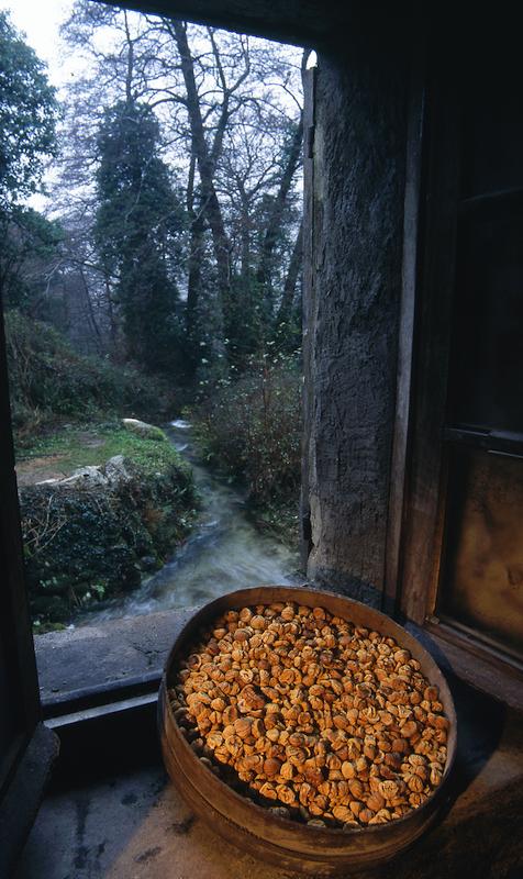 >Moulin de Bocognano — farine de châtaigne (photo 6)