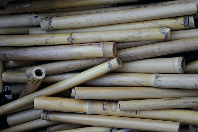 >Fabricant d’instruments de musique à vent — Romain Rancurel Giannoni (photo 11)
