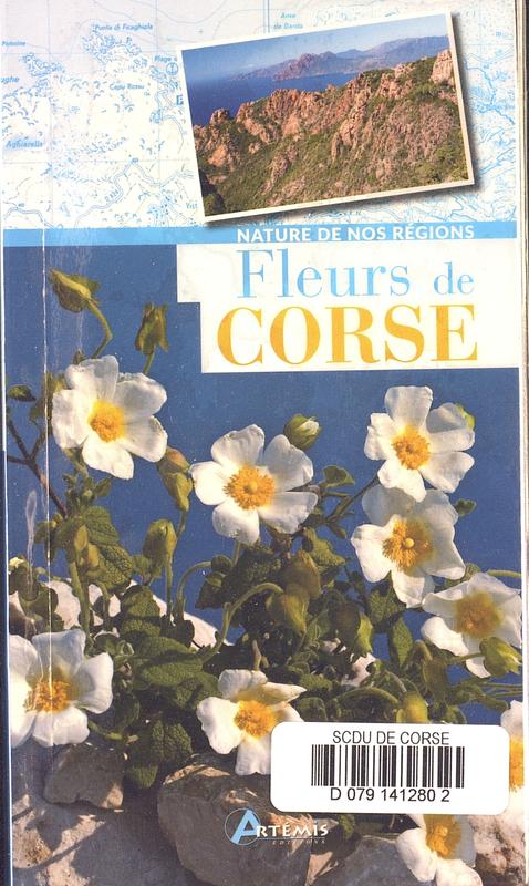 Fleurs de Corse