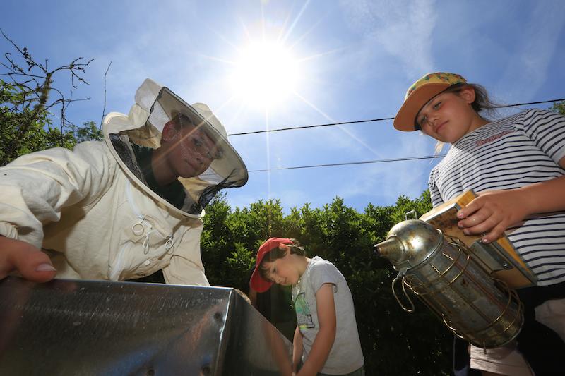 >Les enfants à la découverte du miel (photo 6)