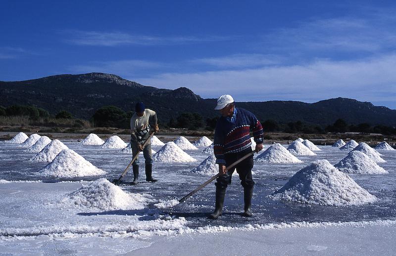 >Marais salants (photo 15)