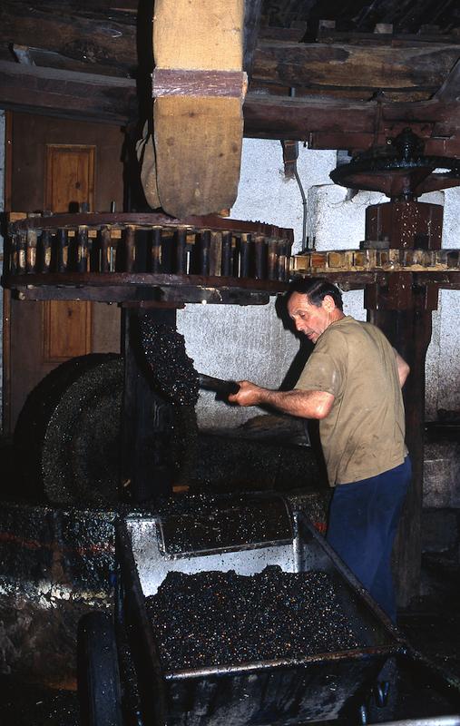 >Moulin à huile d’olive traditionnel (photo 25)