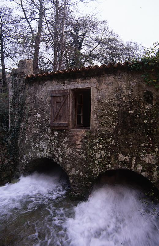 >Moulin de Bocognano — farine de châtaigne (photo 19)