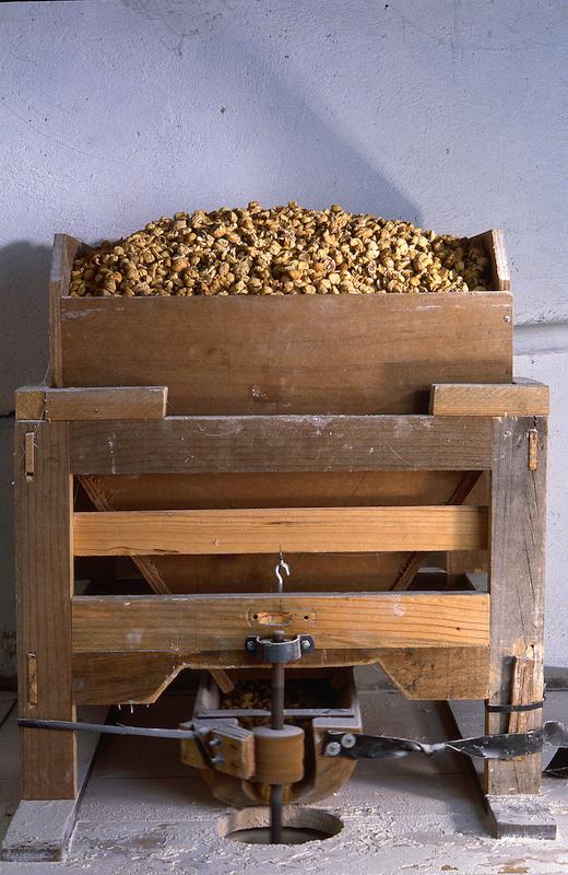 >Châtaignes : cueillette, séchage, moulin — Xavier Colombani (photo 67)