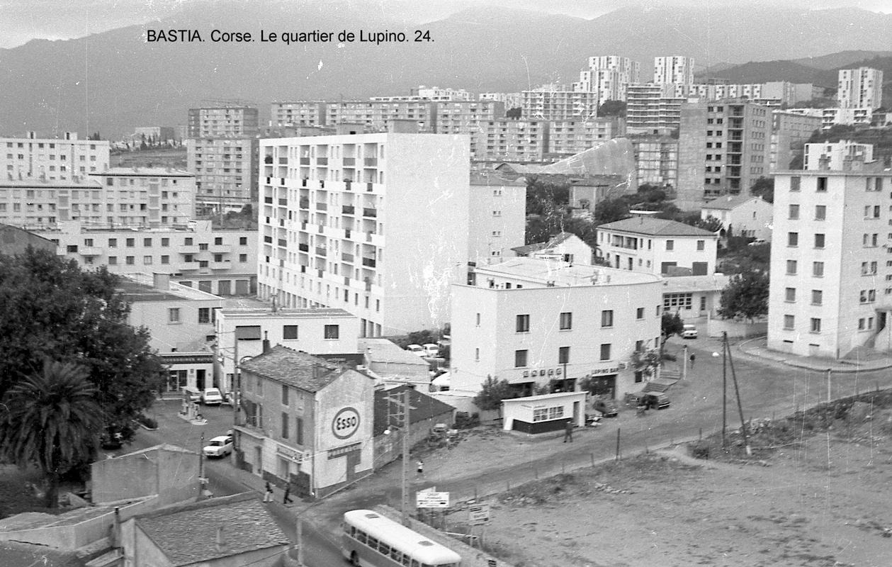 Fonds Amadori – Bastia – Lupinu
