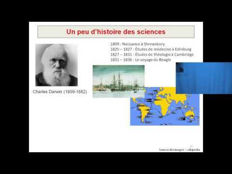 >Cunferenza - La biologie évolutive humaine