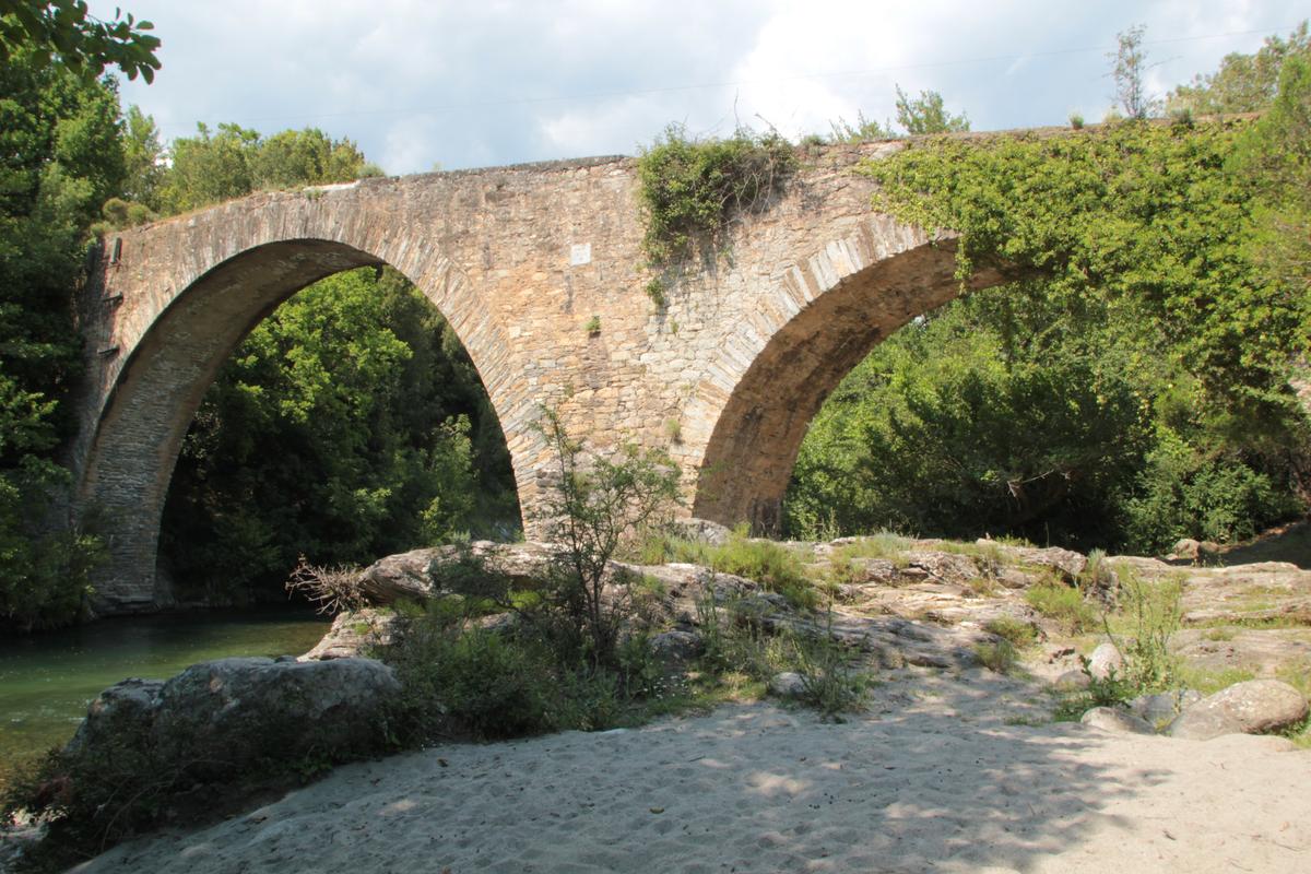 Pont de la famille Carlotti dit ponte à Torcia