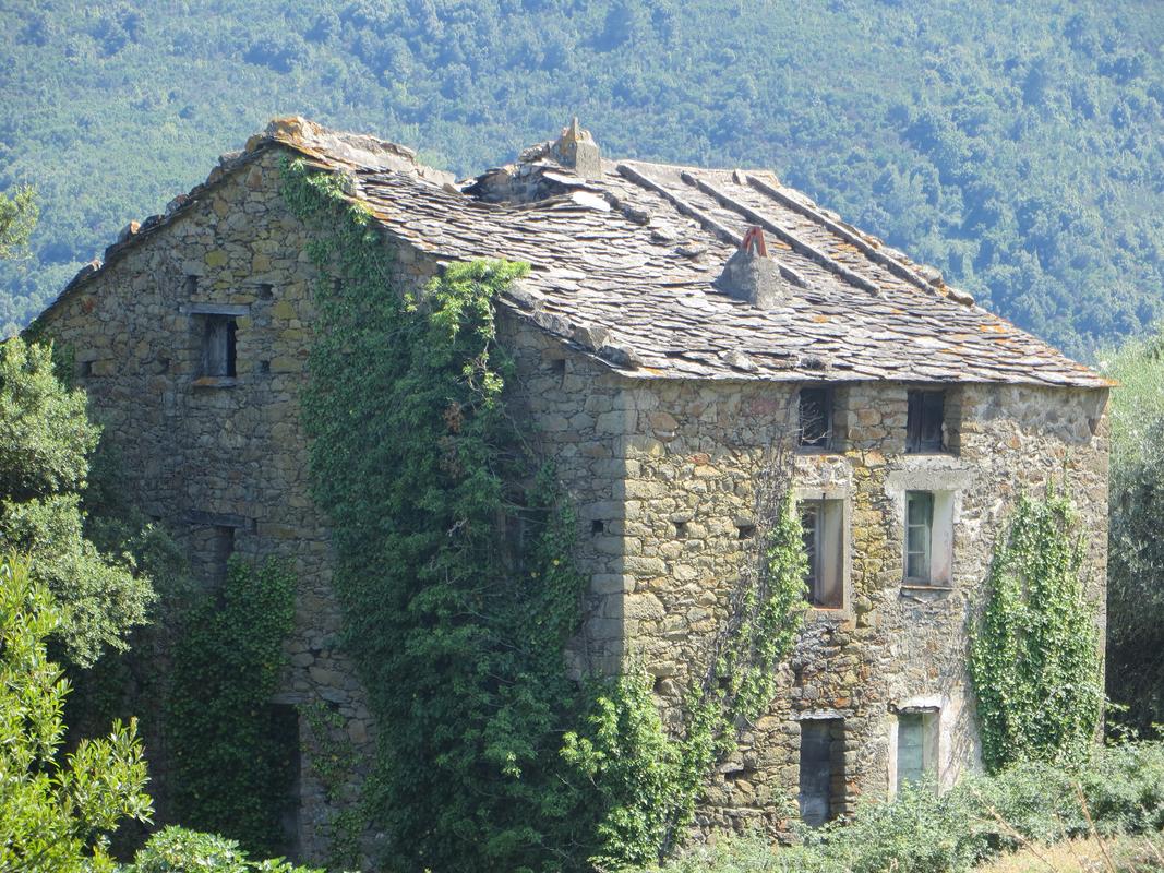 Maison forte de la famille Guidicelli-Quilichini dite U Casone (Pinello)