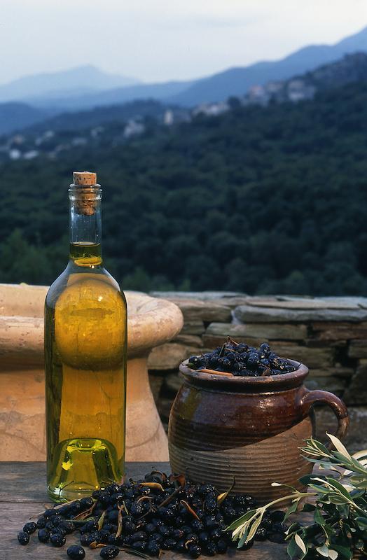 >Récolte des olives (photo 22)