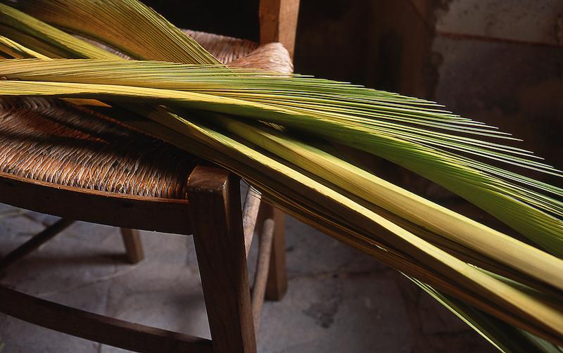 >Les Palmes - E Crucette (photo 11)