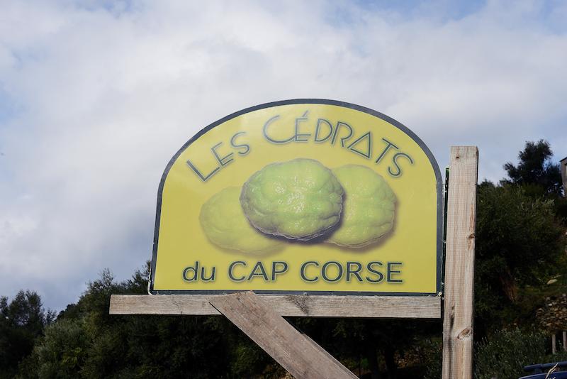 >Cédrat du Cap Corse — Domaine Kallizi (photo 7)