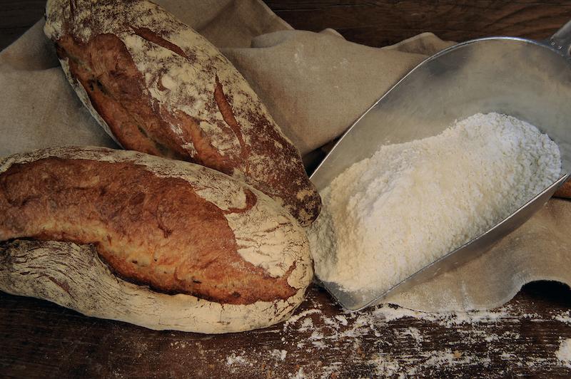 >Pain bio corse Le Fournil (photo 24)
