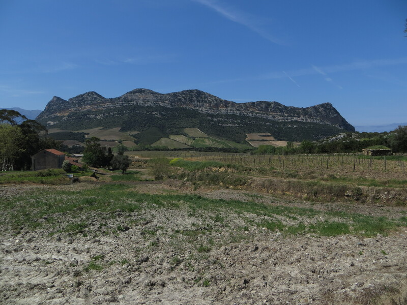 Remise agricole dite pagliaghju (Pietricincolo)